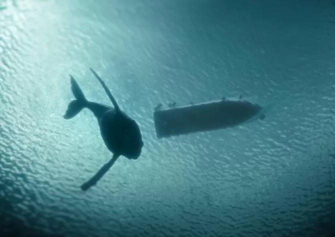 Vale under boat in ocean from Swarms series Viaplay